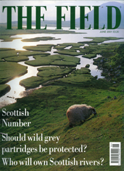 The Field cover